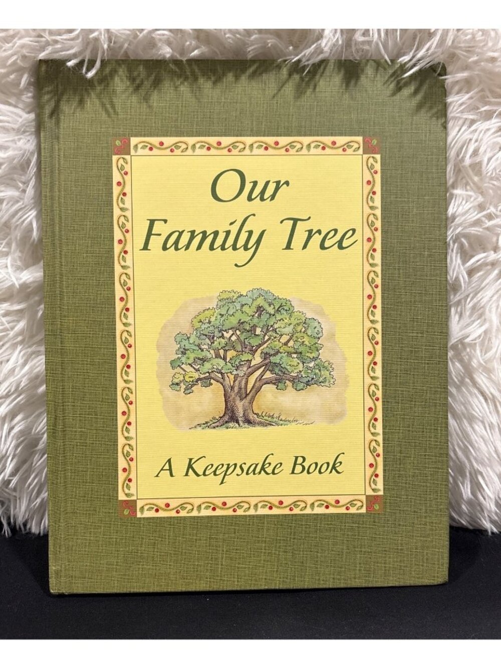 Our Family Tree Keepsake Book Geneology Hardcover By New Seasons